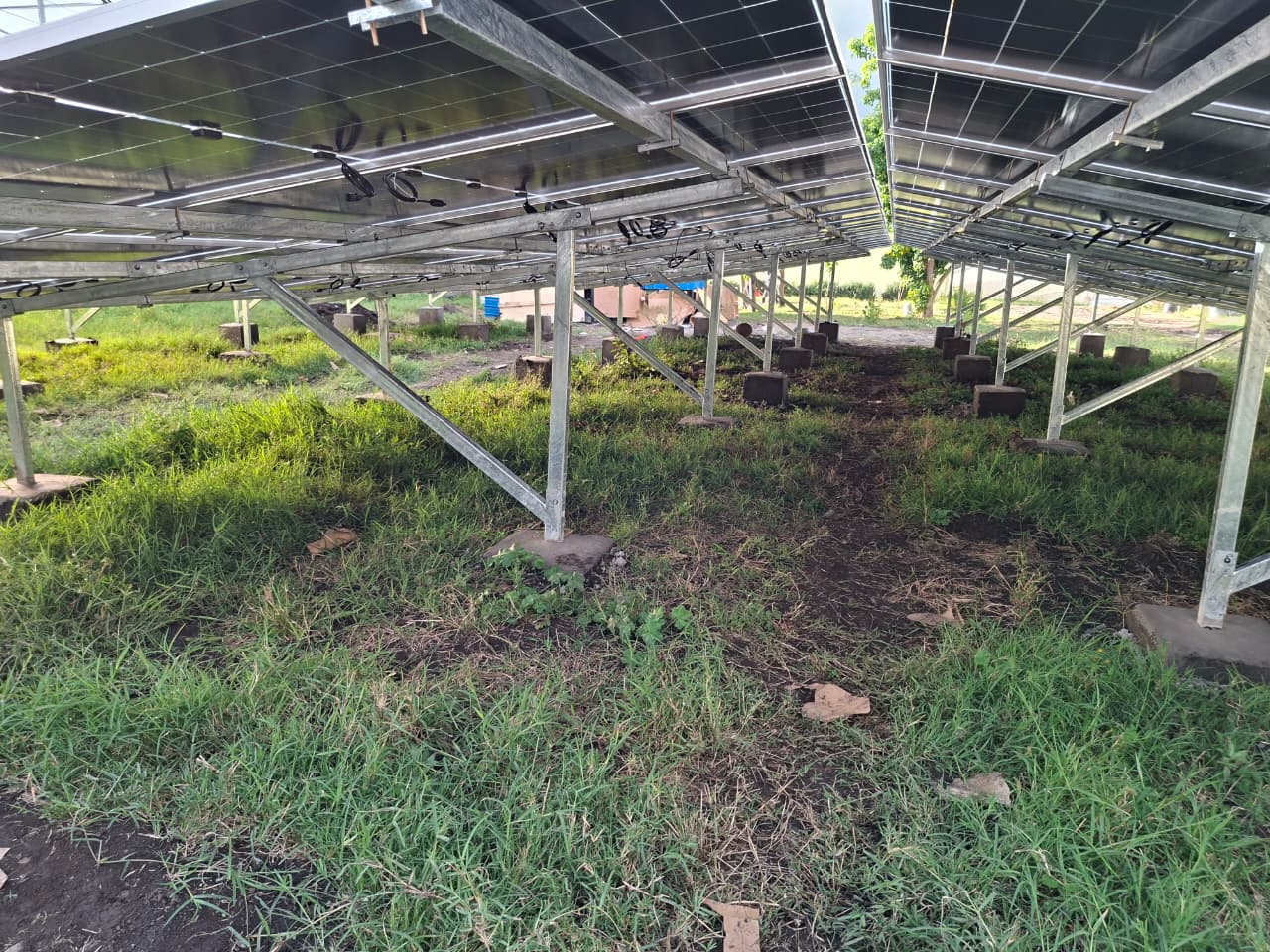 321kWp Grid-Tied image 159